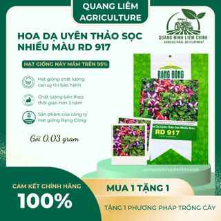 Hạt giống Hoa Dạ Uyên Thảo Sọc Nhiều Màu RD 917 (0,03gram~300 hạt) dễ chăm sóc, trồng quanh năm