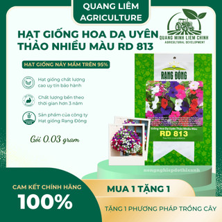 Hạt giống Hoa Dạ Uyên Thảo Nhiều Màu RD 813 (0,03gram~300 hạt) thân lùn thích hợp trồng chậu, giỏ