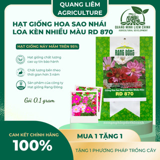 Hạt giống Hoa Sao Nhái Loa Kèn Nhiều Màu RD 870 (0,1gram~35 hạt) dễ nảy mầm, trồng quanh năm