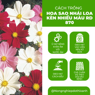 Hạt giống Hoa Sao Nhái Loa Kèn Nhiều Màu RD 870 (0,1gram~35 hạt) dễ nảy mầm, trồng quanh năm