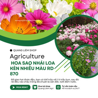 Hạt giống Hoa Sao Nhái Loa Kèn Nhiều Màu RD 870 (0,1gram~35 hạt) dễ nảy mầm, trồng quanh năm