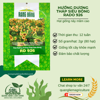 Hạt Giống Hoa Hướng Dương Tháp Siêu Bông Rado 926 (2gram~80 Hạt) dễ chăm, trồng quanh năm
