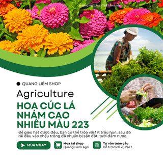 Hạt giống Hoa Cúc Lá Nhám Cao Nhiều Màu Giant Zinnia 223 (0,1gram~20 hạt)