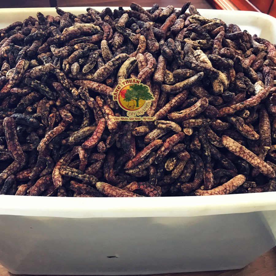 Chuối Hột Thiên Nhiên Tây Nguyên