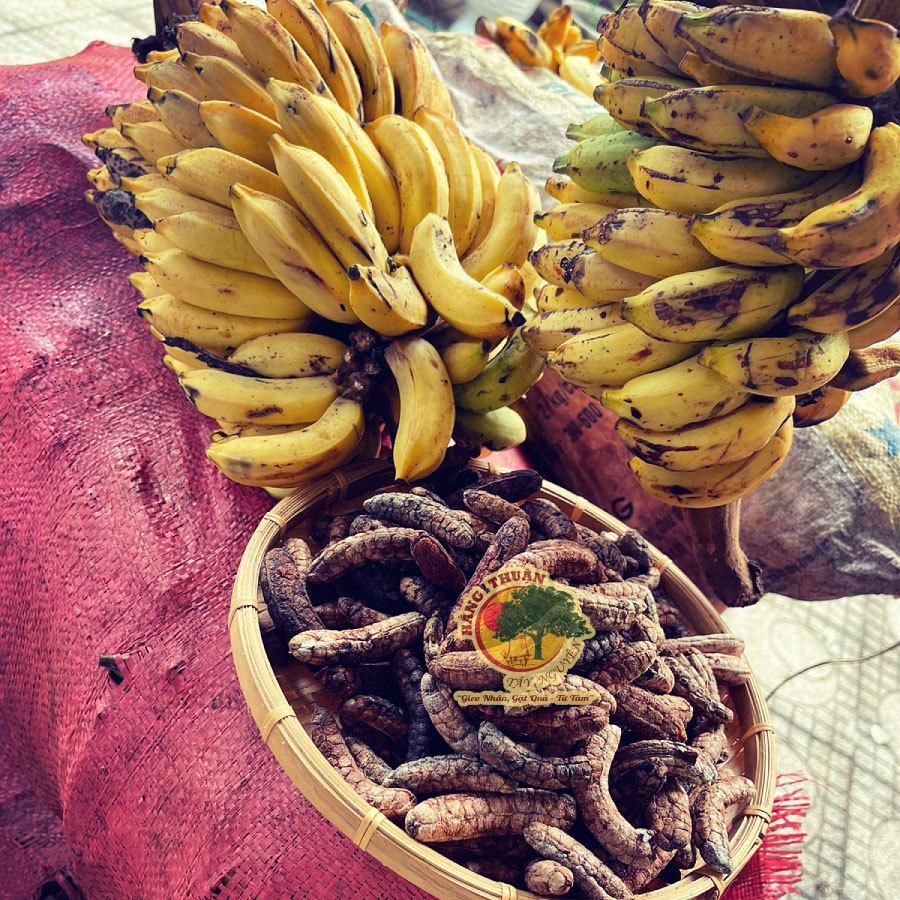 Chuối Hột Thiên Nhiên Tây Nguyên