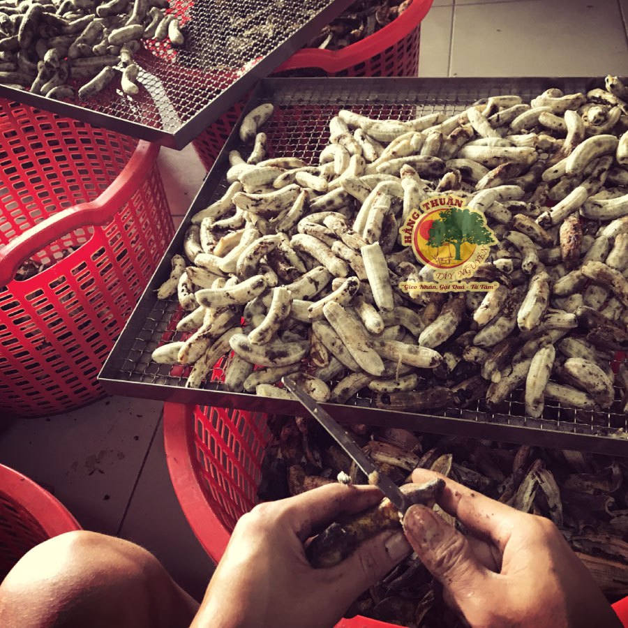 Chuối Hột Thiên Nhiên Tây Nguyên