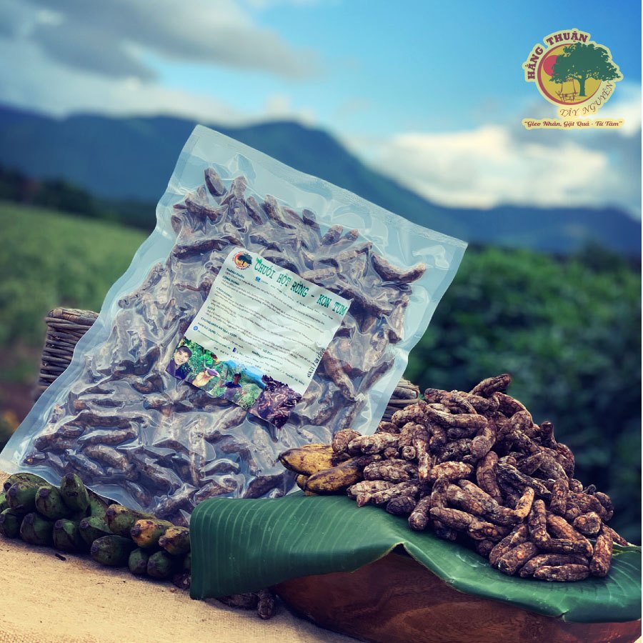 Chuối Hột Thiên Nhiên Tây Nguyên