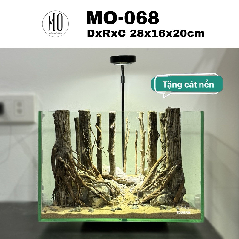 Layout rừng thuỷ sinh - Bể cá 30x20x20 để bàn làm việc | Shopee Việt Nam