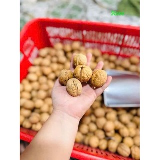 Hạt óc chó vàng nguyên vỏ sấy chín  tốt cho sức khỏe,hổ trợ bà bầu,giàu dinh dưỡng