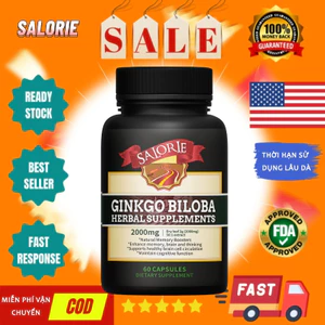 Ginkgo biloba, cải thiện chức năng nhận thức, cải thiện sự tập trung và cải thiện trí nhớ