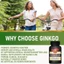 Ginkgo biloba, hỗ trợ sức khỏe não bộ, giảm các triệu chứng viêm khớp và hỗ trợ sức khỏe thần kinh