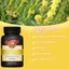 Dầu hoa anh thảo 1000 mg, điều hòa cân bằng nội tiết tố nữ, bảo vệ gan, 60 viên
