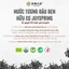 Nước Tương Đậu Đen Hữu Cơ Joyspring Thương Hiệu Đài Loan Dùng Chấm, Nấu Ăn