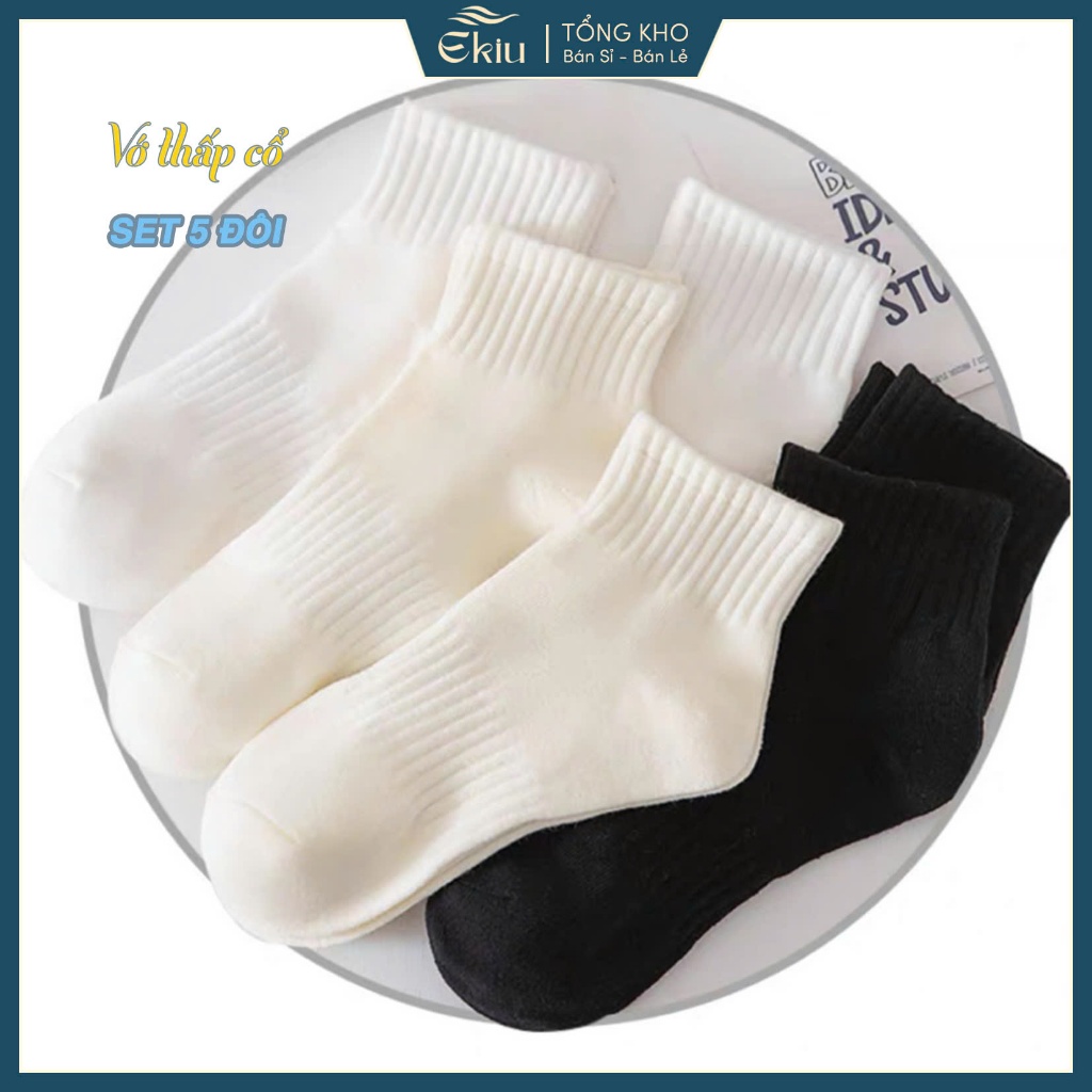 [COMBO 5 ĐÔI] vớ cổ ngắn phong cách Hàn Quốc Basic, chất liệu tất cotton co giãn thoáng khí - Ekiu Shop