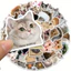 Set 20/60 Sticker Mèo Vui Nhộn Chống Nước Dán Laptop Vali Mũ Bảo Hiểm Sổ Tay
