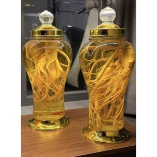 [Kho sỈ] Bình Ngâm Rượu Sâm Thủy Tinh Phú Hòa Có Van/Không Van Cao Cấp 1L,, 2L, 3L, 4L, 5L, 6L, 8L