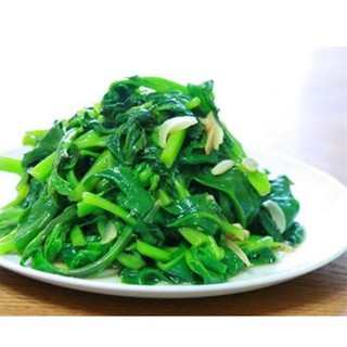 Combo 10 bầu cây rau Mồng Tơi Xanh xanh tốt