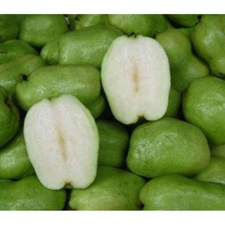 Cây Giống Ổi Không Hạt Quả To Ngọt Giòn