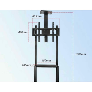 Kệ TiVi - Gía Treo TiVi Di Động Nhập Khẩu ErgoTek E1950 - Lắp TiVi 32-75inch - Mẫu Mới Nhất 2024