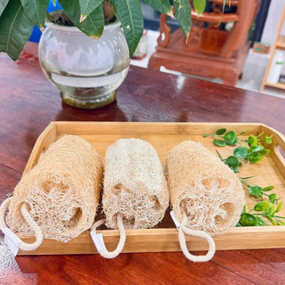 COMBO 3 MIẾNG XƠ MƯỚP CẮT KHÚC nguyên trái KB Ecolife làm miếng rửa bát hoặc bông tắm an toàn