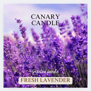 Nến Thơm Lavender / Hoa Oải Hương