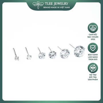 Sparkly Earrings