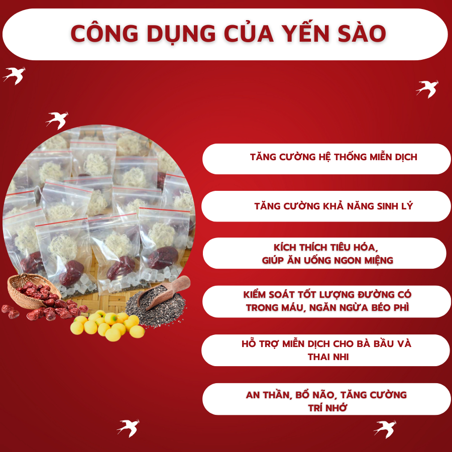 Set Yến Baby Dùng Thử Cho Bé Kèm Táo , Đường , Long Nhãn - Yến Sào Phạm Gia