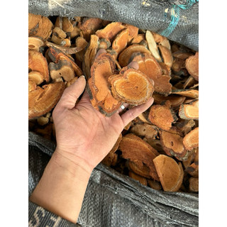1KG cỏ máu hàng khô, sạch [ Sấy Lạnh ] tăng cân