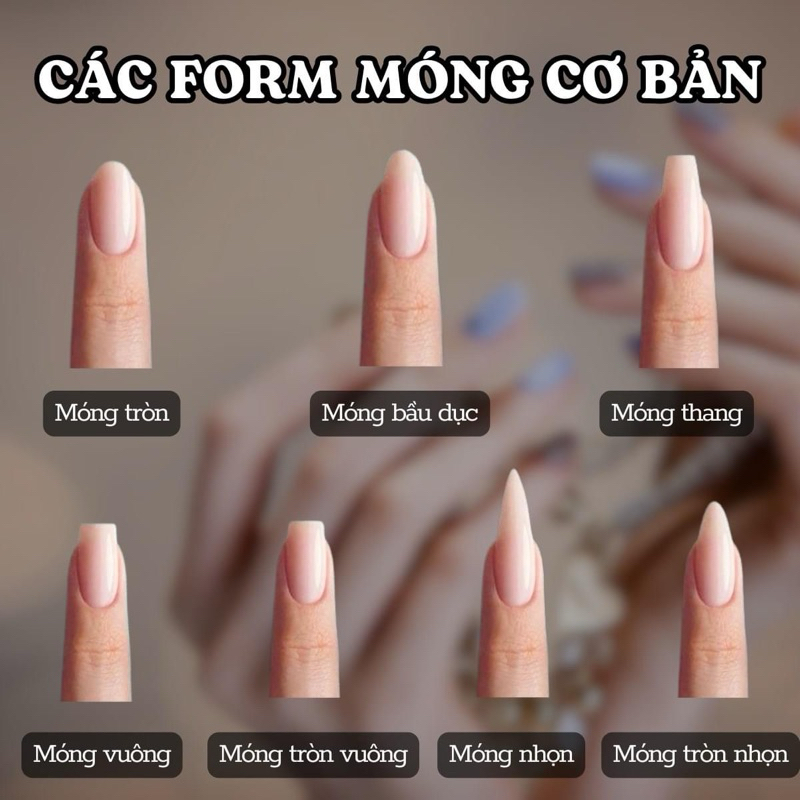 Nhập sỉ nailbox nên chọn những form móng nào