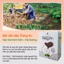 Bột Sắn Dây Hạt Chia Tràng An - Hộp 12 Gói - Thức Uống Cho Phái Đẹp - Năng Lượng Của Tự Nhiên