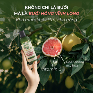 Dầu Gội Bưởi Hồng ABERA 180ml - Làm Sạch Tóc, Da Đầu, Không Sulfate, Cung Cấp Dưỡng Chất, Bảo Vệ Tóc