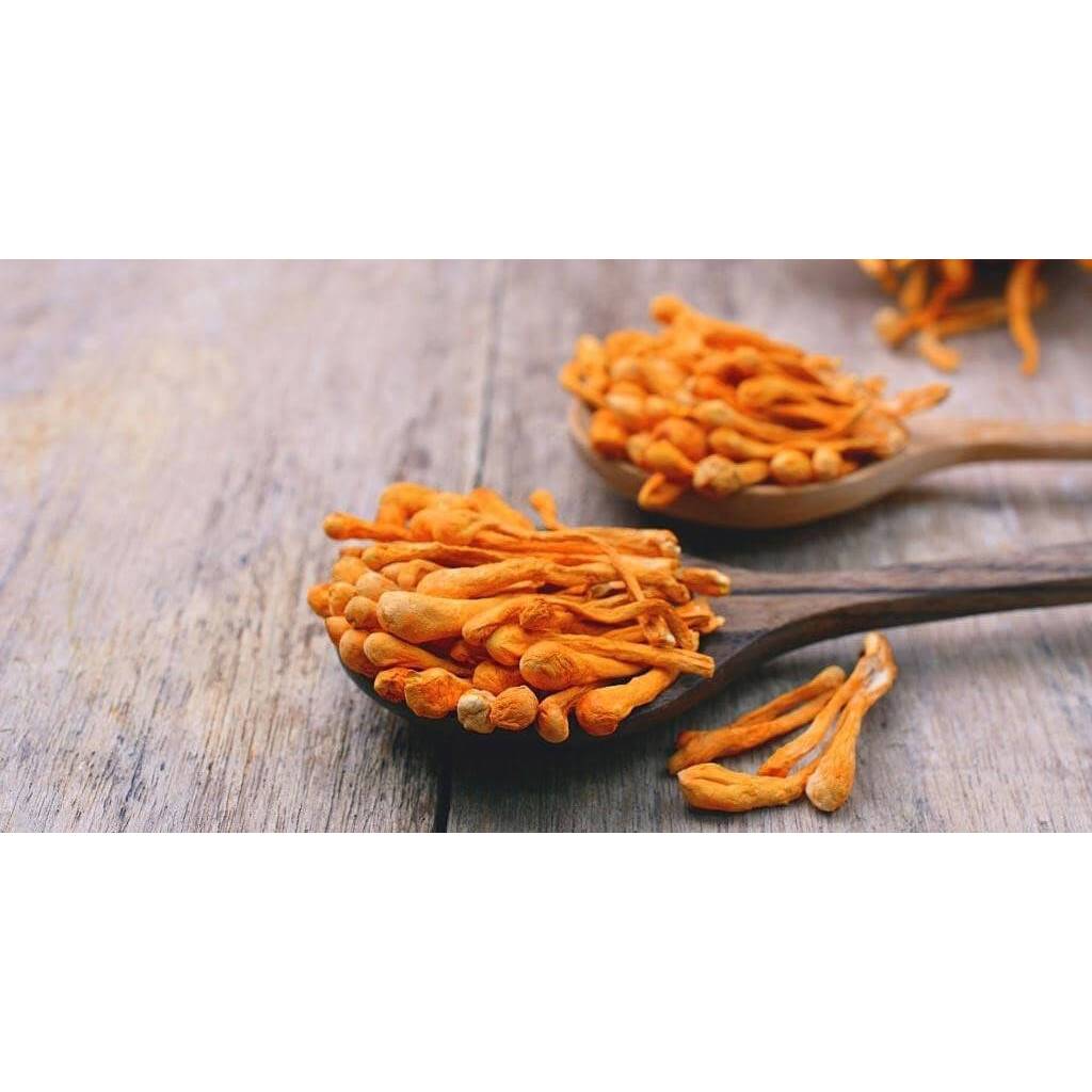 Đông Trùng Hạ Thảo Loại 1 Sấy Thăng Hoa ( 50 -100 gram ) - Yến Sào Phạm Gia