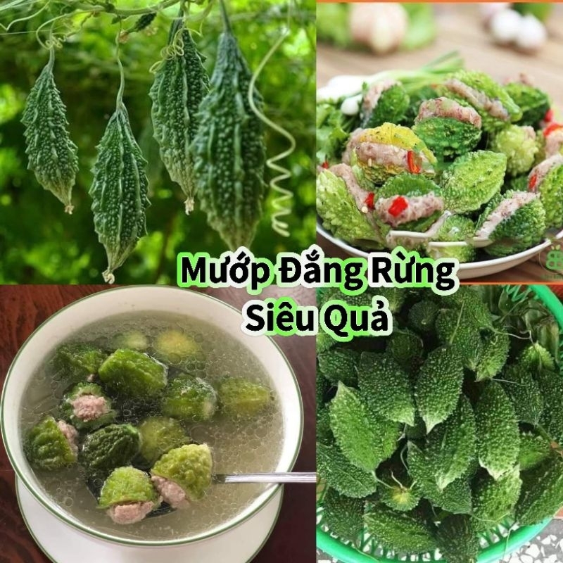 Hạt Giống Mướp Đắng rừng ( khổ qua rừng) 🥰siêu quả cực kỳ năng suất, ăn ngon