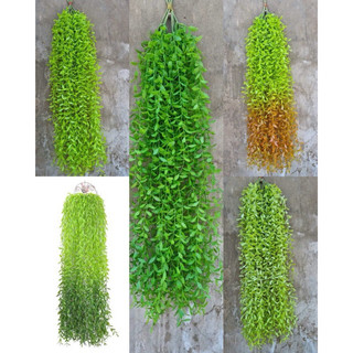 10 cành rủ cúc tần 5 nhánh