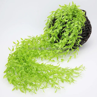 10 cành rủ cúc tần 5 nhánh