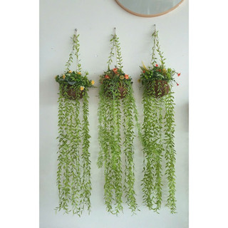 10 cành rủ cúc tần 5 nhánh