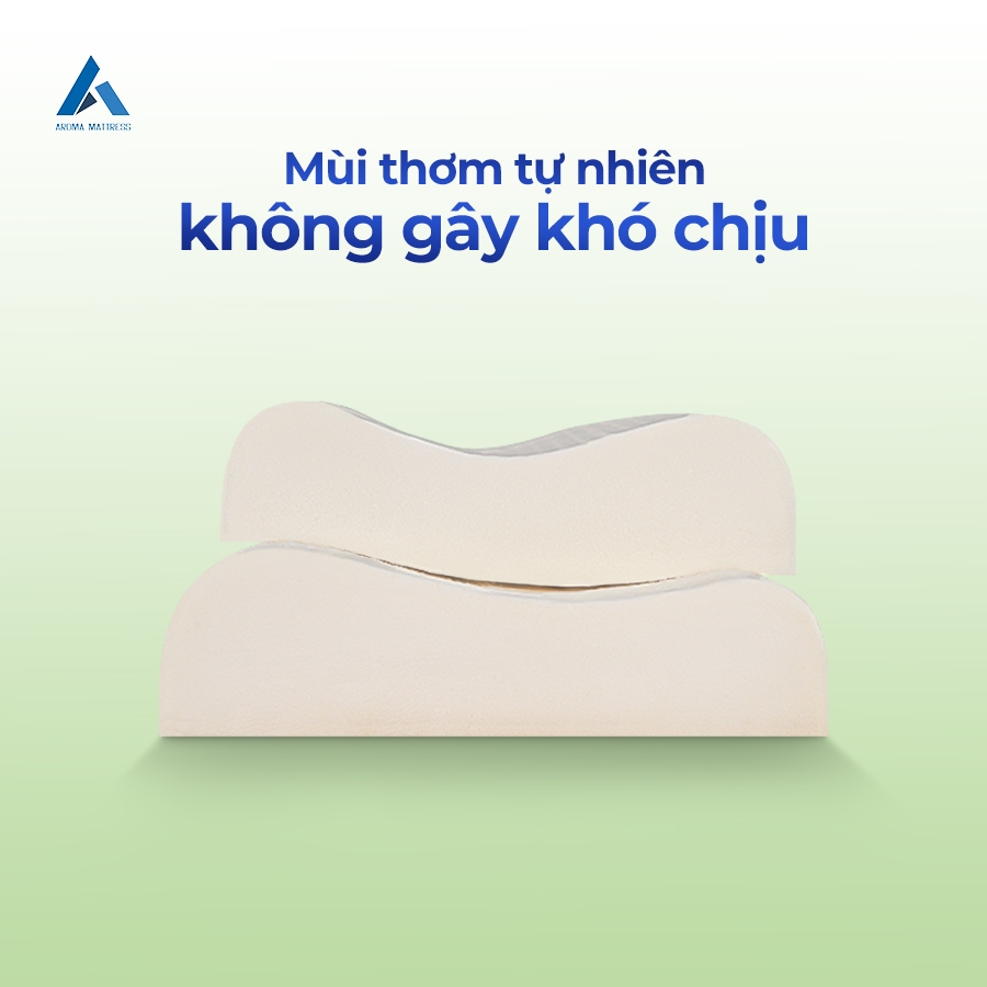 Ảnh Gối Cao Su Aroma 40cm x 60cm - Lượn Sóng và Ovan - Giao Ngẫu Nhiên 1