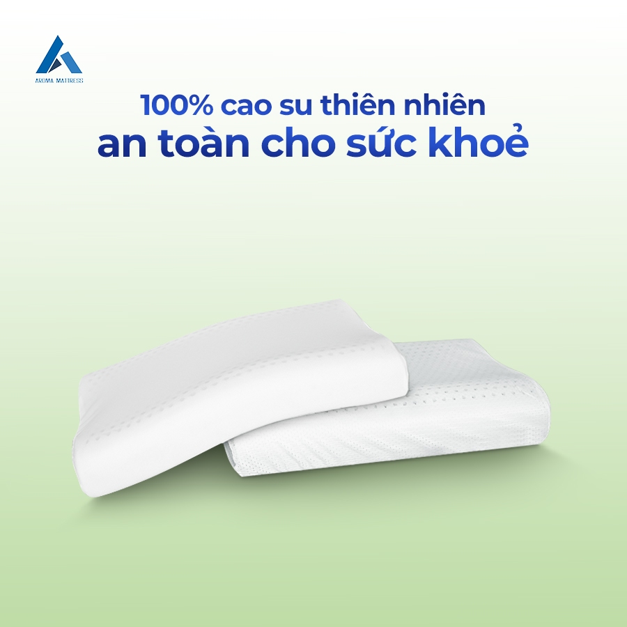 Ảnh Gối Cao Su Aroma 40cm x 60cm - Lượn Sóng và Ovan - Giao Ngẫu Nhiên 2