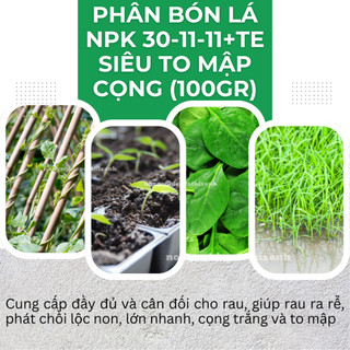 Phân bón lá NPK 30-11-11+TE Siêu To Mập Cọng (100gram) tốt rễ, to bụi, nở cọng