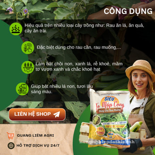 Phân bón lá NPK 30-11-11+TE Siêu To Mập Cọng (100gram) tốt rễ, to bụi, nở cọng