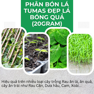 Phân bón lá Tumas đẹp lá, bóng quả phân bón số 1 cho cây rau ăn lá ăn (gói 20gram)
