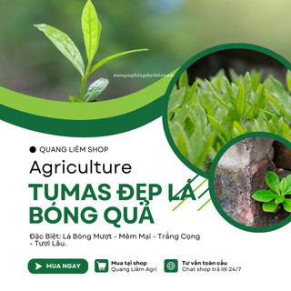 Phân bón lá Tumas đẹp lá, bóng quả phân bón số 1 cho cây rau ăn lá ăn (gói 20gram)