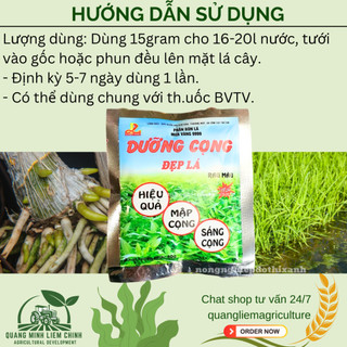 Phân bón lá Mưa Vàng 9999 DƯỠNG CỌNG Đẹp Lá rau màu , rau ăn lá , cây rau hữu cơ (gói 40gram)