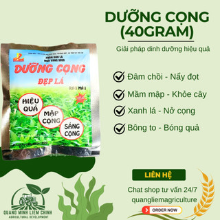 Phân bón lá Mưa Vàng 9999 DƯỠNG CỌNG Đẹp Lá rau màu , rau ăn lá , cây rau hữu cơ (gói 40gram)