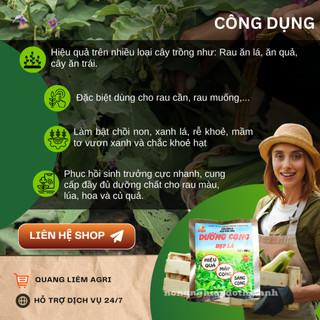 Phân bón lá Mưa Vàng 9999 DƯỠNG CỌNG Đẹp Lá rau màu , rau ăn lá , cây rau hữu cơ (gói 40gram)