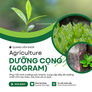 Phân bón lá Mưa Vàng 9999 DƯỠNG CỌNG Đẹp Lá rau màu , rau ăn lá , cây rau hữu cơ (gói 40gram)