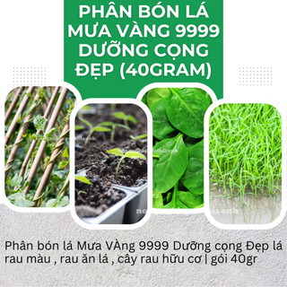 Phân bón lá Mưa Vàng 9999 DƯỠNG CỌNG Đẹp Lá rau màu , rau ăn lá , cây rau hữu cơ (gói 40gram)
