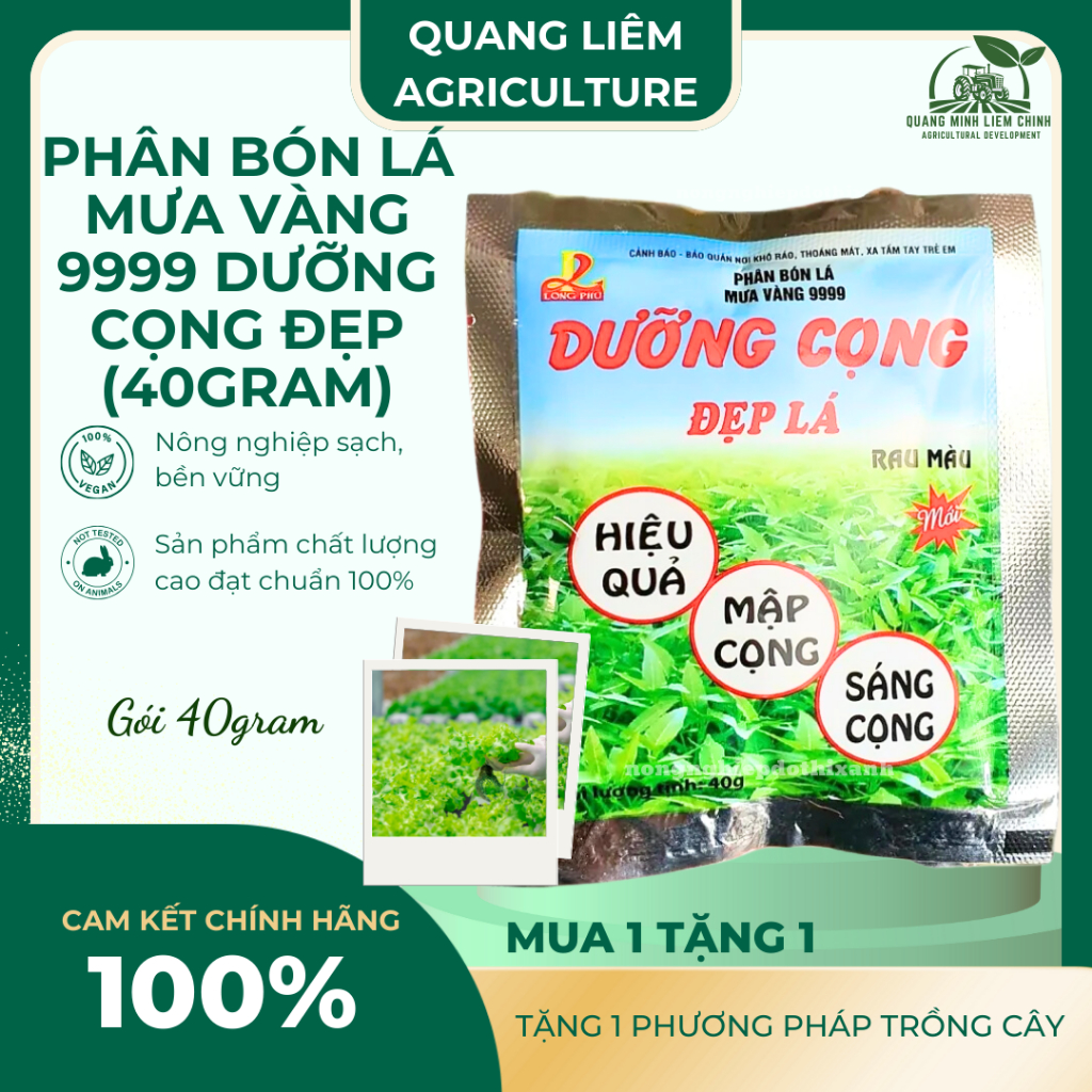 Phân bón lá Mưa Vàng 9999 DƯỠNG CỌNG Đẹp Lá rau màu , rau ăn lá , cây ...
