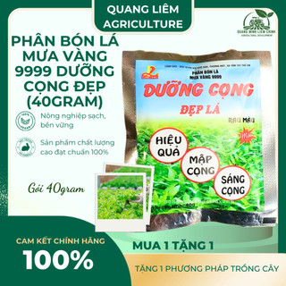 Phân bón lá Mưa Vàng 9999 DƯỠNG CỌNG Đẹp Lá rau màu , rau ăn lá , cây rau hữu cơ (gói 40gram)