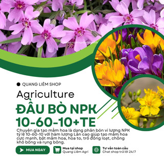 Phân bón lá Đầu Bò NPK 10-60-10+TE (gói 40gram), Tạo mầm hoa, siêu ra hoa, siêu hạ phèn